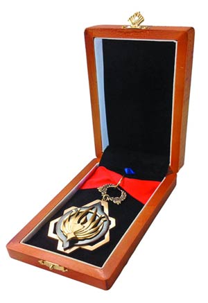 Battlestar Galactica Medal Of Distinction 1/1 Scale Prop Replica