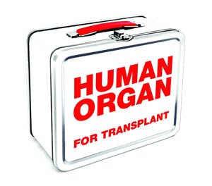 Zombie Lunchbox - Human Organ