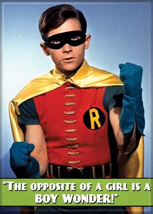 DC Comics 2.5x3.5-inch Magnet - Batman TV The Opposite Of A Girl Is A Boy Wonder (21338DC)
