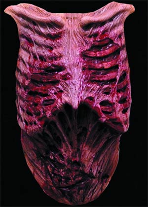 Quick View