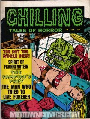 Chilling Tales Of Horror Vol 2 #2