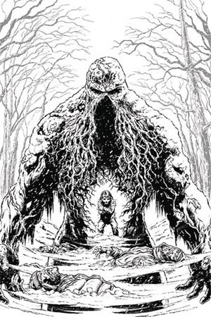 Swamp Thing Winter Special #1 Cover B DF Signed By Tom King