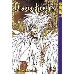 Dragon Knights Vol 18 GN