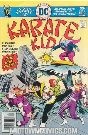 Karate Kid #2