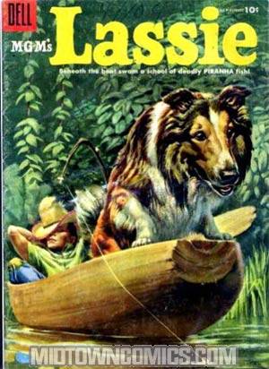 Lassie #23