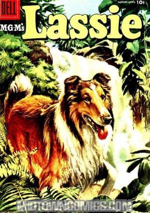 Lassie #33