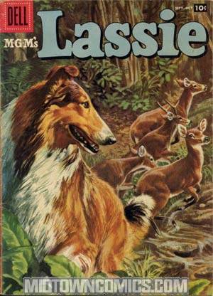 Lassie #36