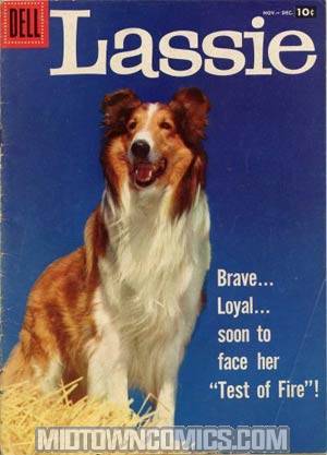 Lassie #37