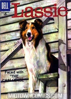 Lassie #41