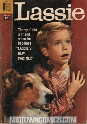 Lassie #42