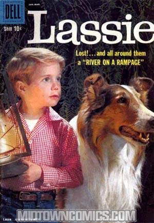 Lassie #44