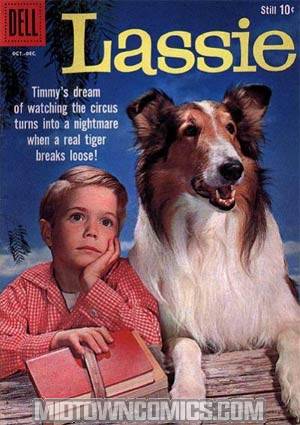 Lassie #47