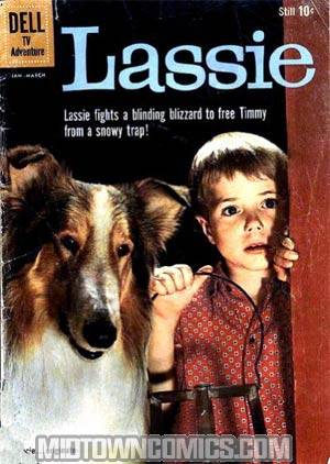 Lassie #48
