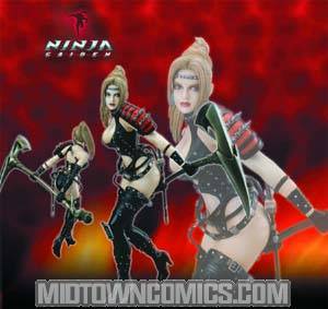 Ninja Gaiden Rachel PVC Statue