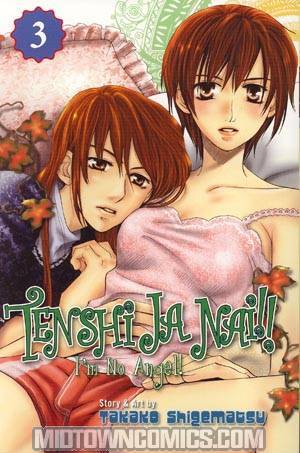 Tenshi Ja Nai (Im No Angel) Vol 3 GN