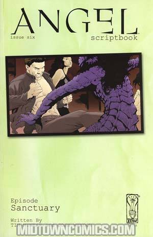 Angel Scriptbook #6 Cover A Regular Jeff Johnson Art Cover