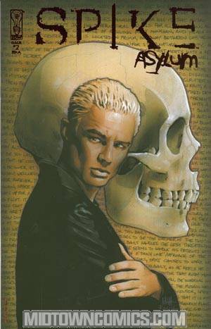 Spike Asylum #2 Incentive Matt Busch Variant Cover