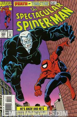 Spectacular Spider-Man #204