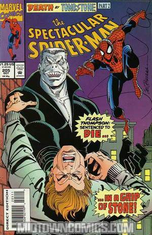 Spectacular Spider-Man #205