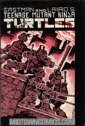 Teenage Mutant Ninja Turtles #1 Cover B 2nd Ptg