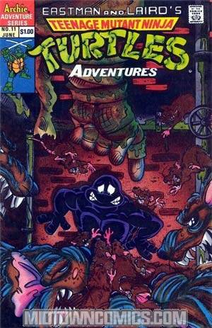 Teenage Mutant Ninja Turtles Adventures Vol 2 #11 Cover A 1st Ptg