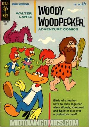 Woody Woodpecker #80