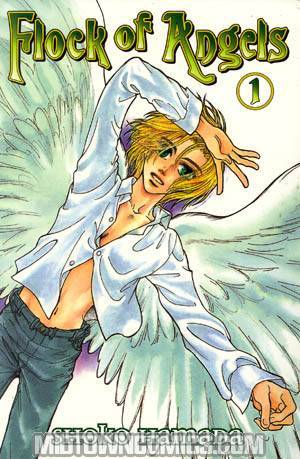 Flock Of Angels Vol 1 GN