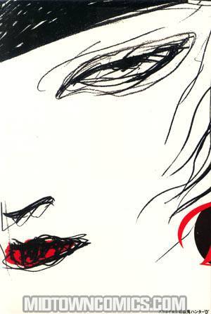 Amano Collected Art Of Vampire Hunter D Slipcased TP