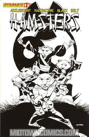 Adolescent Radioactive Black Belt Hamsters Vol 2 #1 Cover C Incentive Michael Avon Oeming Sketch Cover