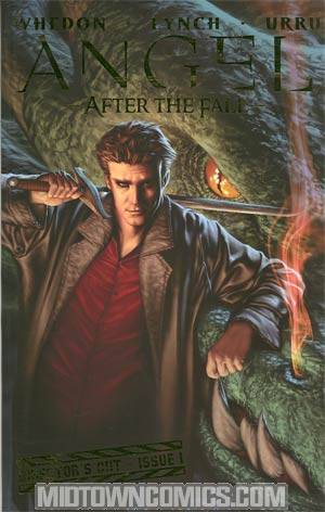 Angel After The Fall #1 Cover G Directors Cut Cover