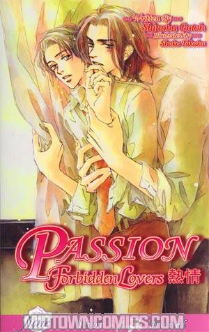 Passion Forbidden Lovers Novel