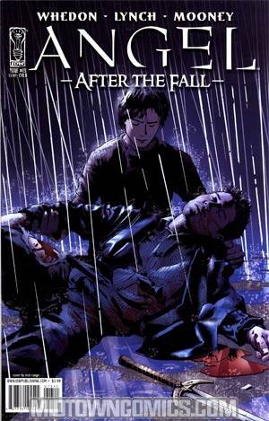 Angel After The Fall #13 Cover B Regular Cover