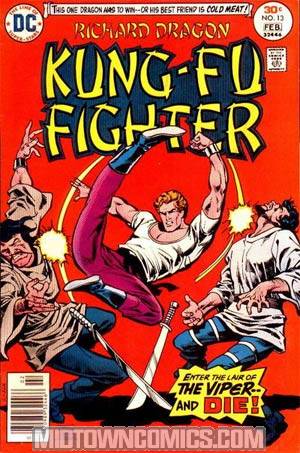Richard Dragon Kung-Fu Fighter #13