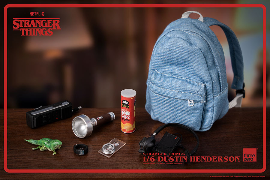 Stranger Things Dustin Henderson 1/6 Scale Articulated Figure
