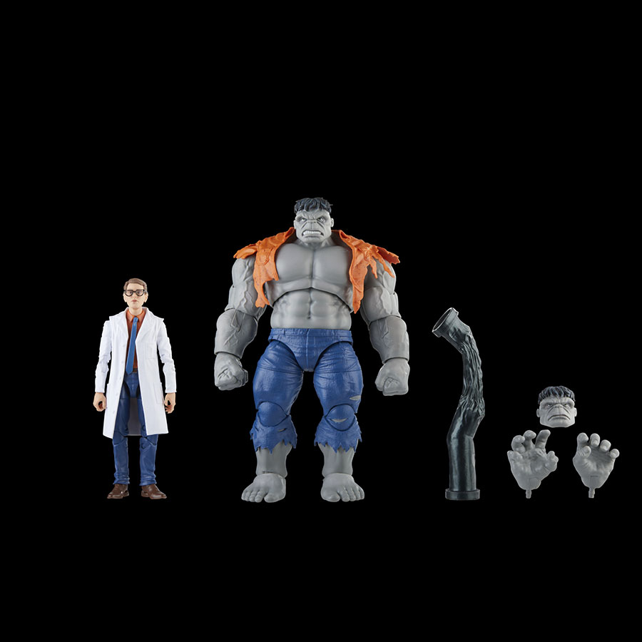 Avengers 60th Anniversary Legends Grey Hulk / Banner 6-Inch 2-Pack Action Figure