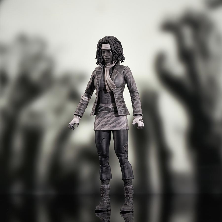 Walking Dead Comic Deluxe Action Figure Series 1 - Michonne