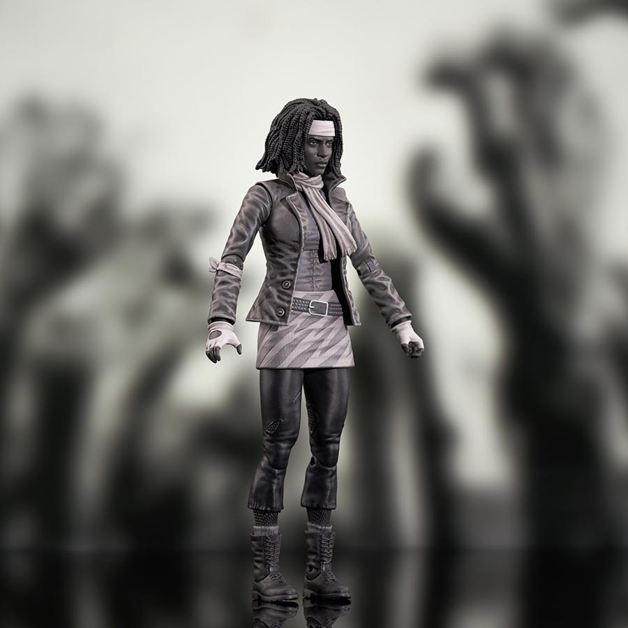 Walking Dead Comic Deluxe Action Figure Series 1 - Michonne