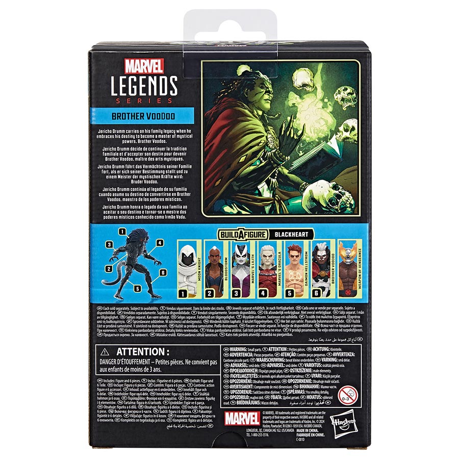 Marvel Legends Strange Tales Brother Voodoo 6-Inch Action Figure Case