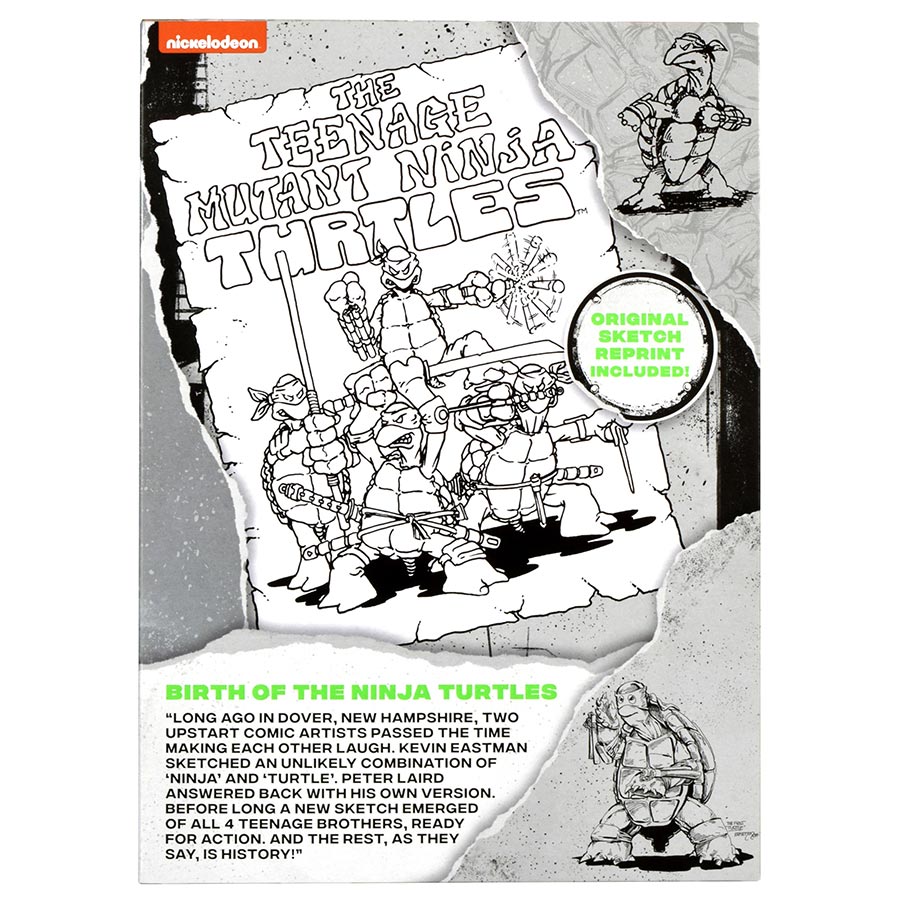 Teenage Mutant Ninja Turtles Black & White Original Sketch Michelangelo Previews Exclusive Action Figure