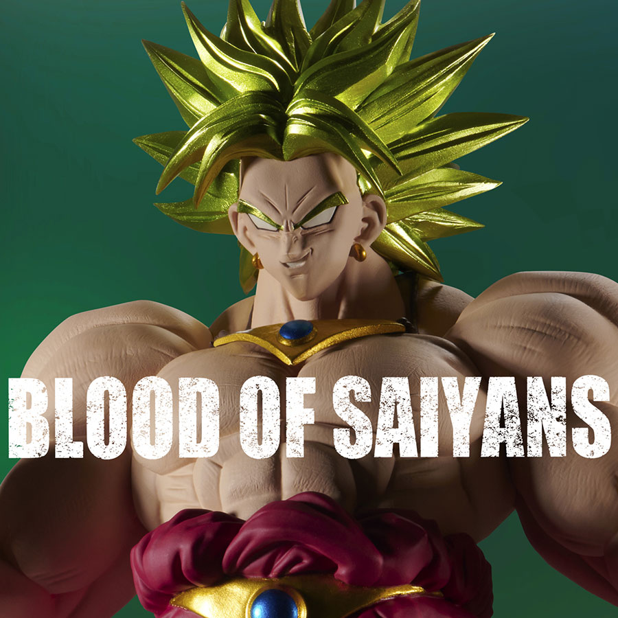 Dragon Ball Z Blood Of Saiyans Super Saiyan Broly PVC Figure