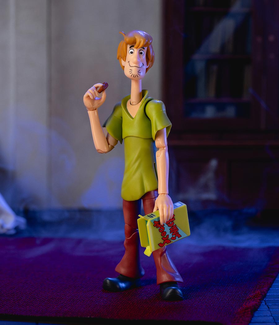 Scooby-Doo Wave 1 Shaggy 6-Inch Action Figure