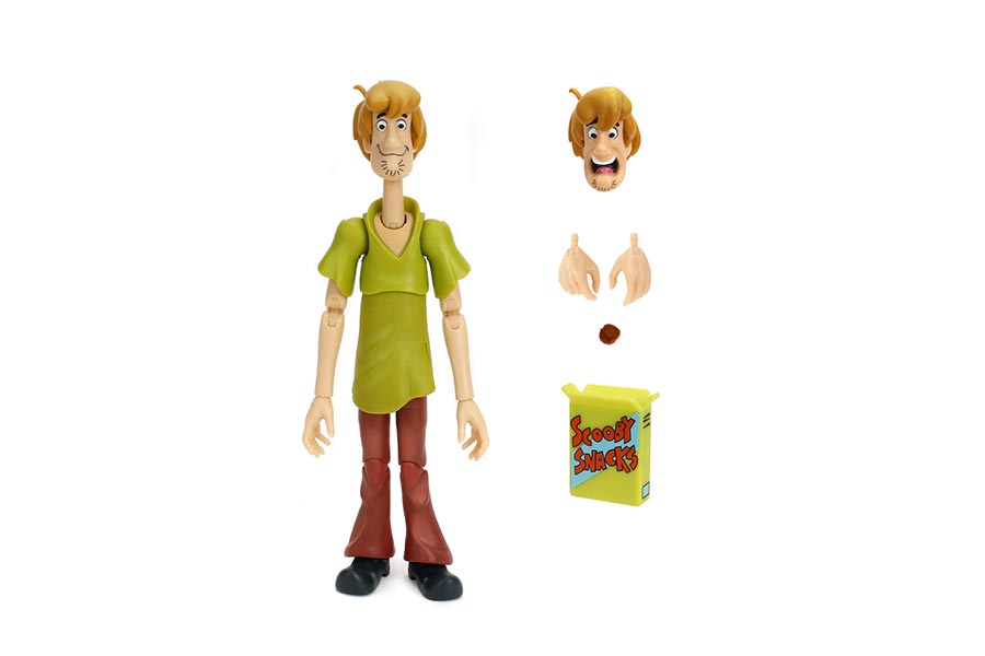 Scooby-Doo Wave 1 Shaggy 6-Inch Action Figure