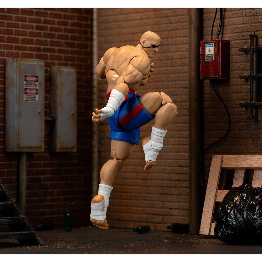 Street Fighter II Sagat 6-Inch Deluxe Action Figure