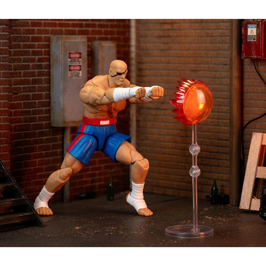 Street Fighter II Sagat 6-Inch Deluxe Action Figure
