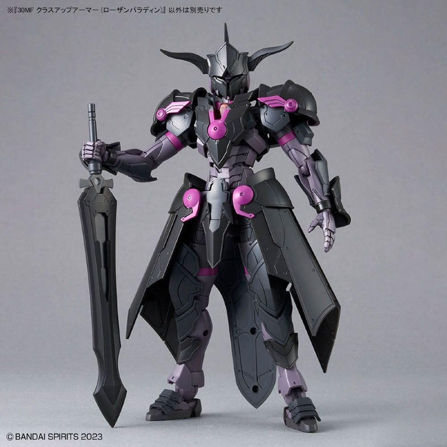 30 Minutes Fantasy Class Up Armor Kit #A-04 Rosan Paladin