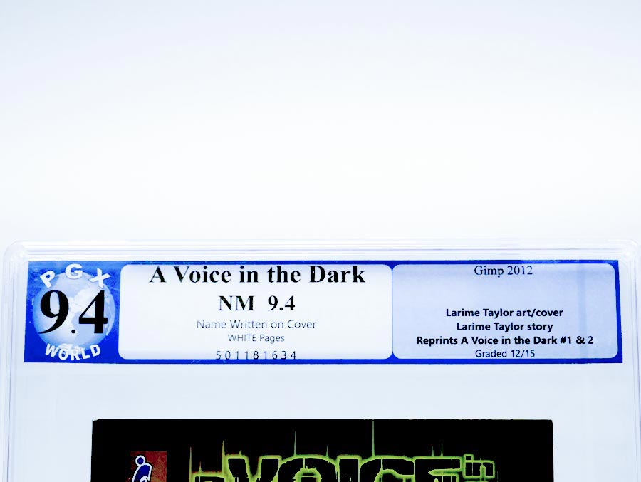 A Voice In The Dark #1 Cover C Reprint Collected Edition PGX 9.4