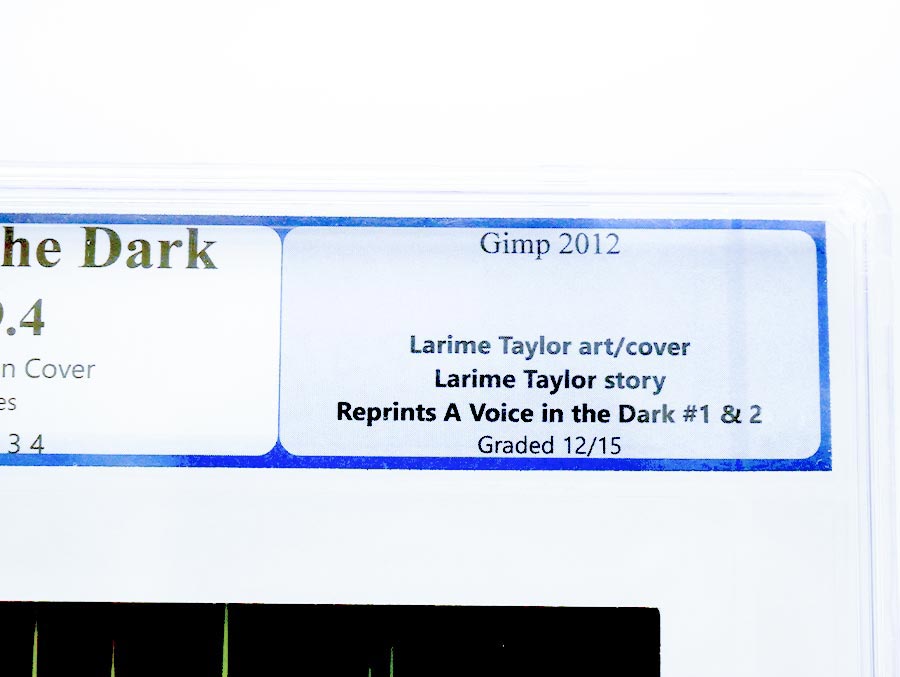 A Voice In The Dark #1 Cover C Reprint Collected Edition PGX 9.4
