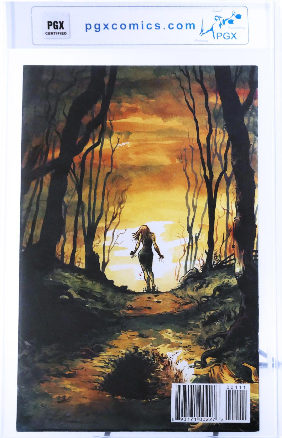 Rachel Rising #1 Cover D 1st Ptg PGX 9.4