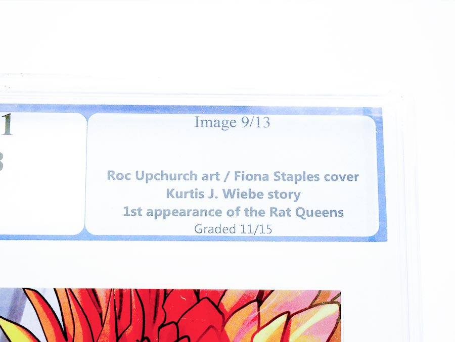 Rat Queens #1 Cover D Incentive Fiona Staples Variant Cover PGX 9.8