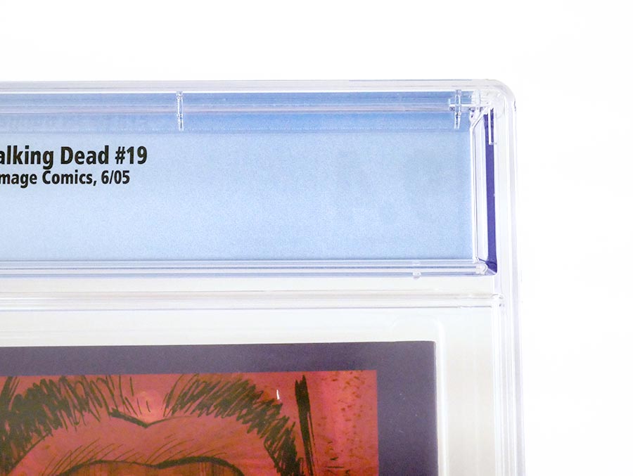 Walking Dead #19 Cover C CGC 9.4